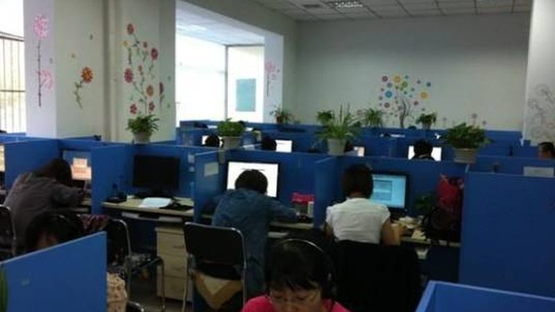 职能型与事业部制：组织架构的差异化解析**