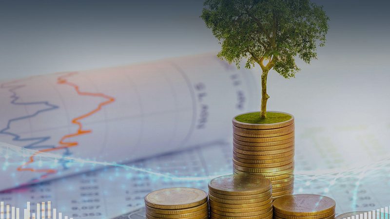 并购咨询与财务顾问协作：构建高效协同的关键要素